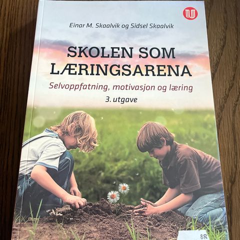 Skolen som læringsarena