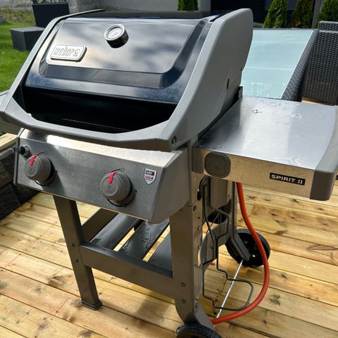 Weber Gassgrill