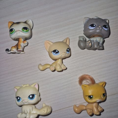 Littlest Pet Shop katter