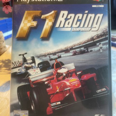 F1 Racing Championship