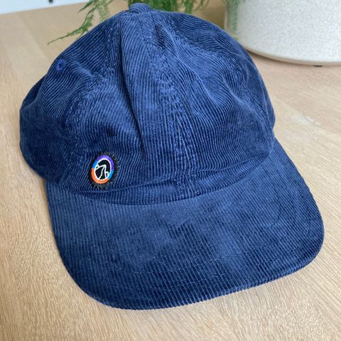 Patagonia Caps