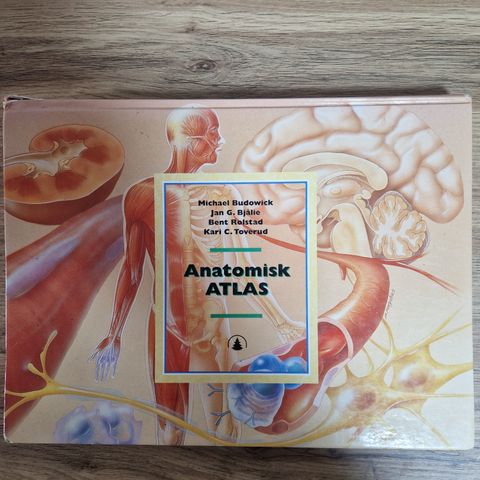 Anatomisk atlas