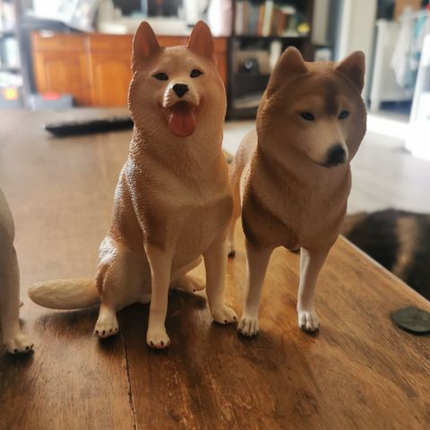 Husky figurer