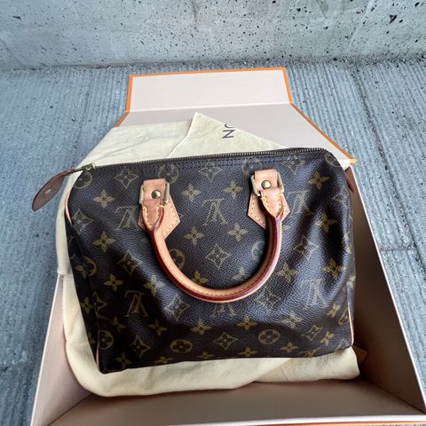 Louis Vuitton Speedy 25 monogram