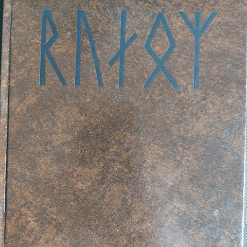 Runer - våre eldste norske runeinnskrifter av Gerd Høst