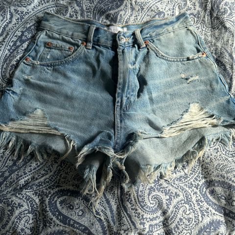 Shorts xs (34)