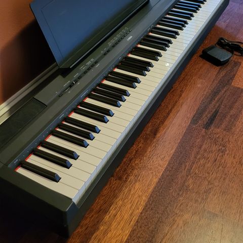 Yamaha P-115 elpiano