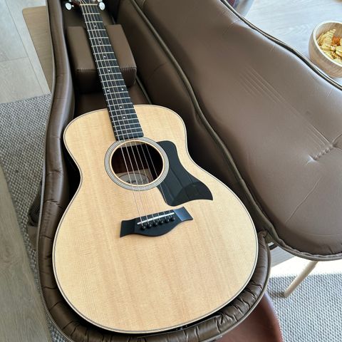 Taylor GS Mini-e RW