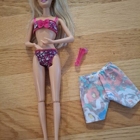 Barbie stranddukke med masse tilbehør til salgs!