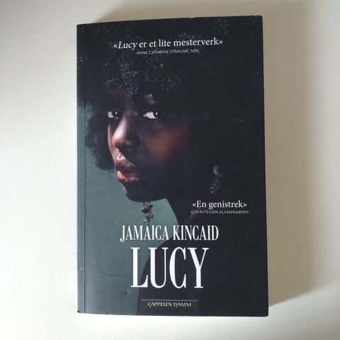 Lucy av Jamaica Kincaid