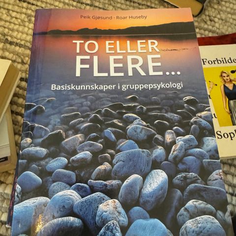 To eller flere bok