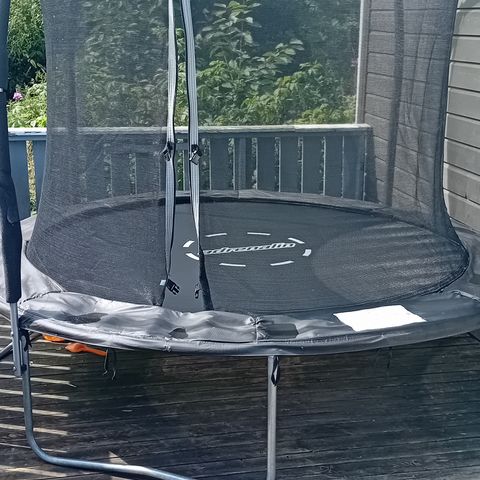 trampoline