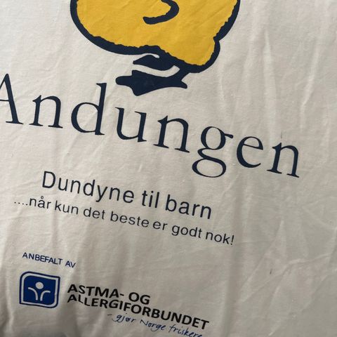 Lite brukt Andungen dundyne til barn