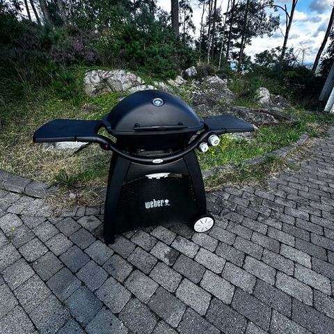 WEBER Q3000!!