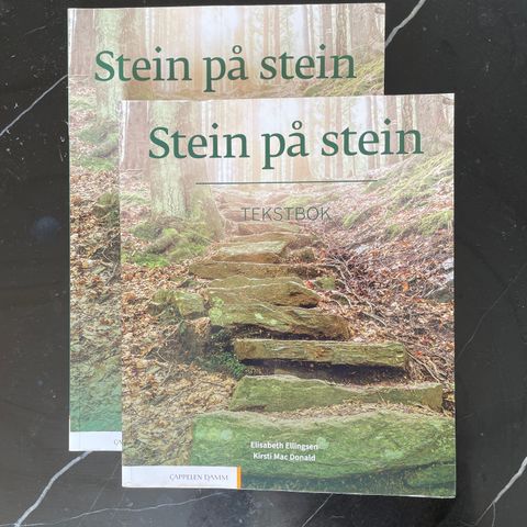 Stein på stein Textbook and workbook.