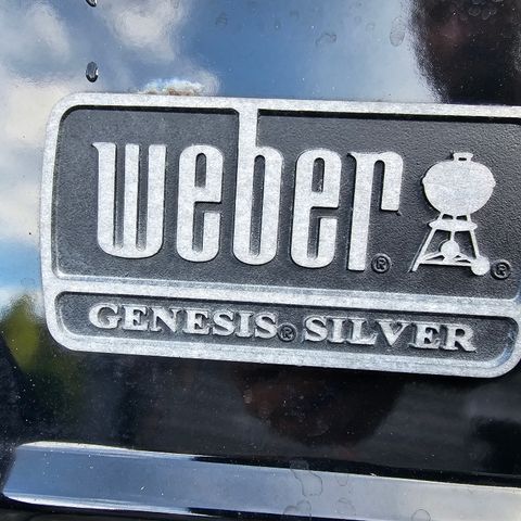 Weber genesis silver