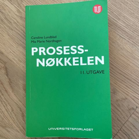 Prosessnøkkelen