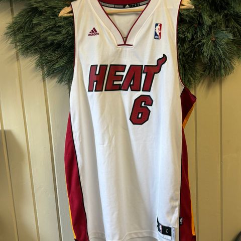 Besketball jearsy - Miami Heat - Lebron James 6