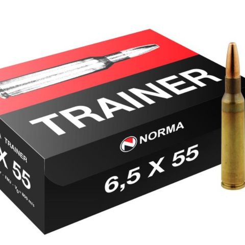 Norma Trainer 6,5x55