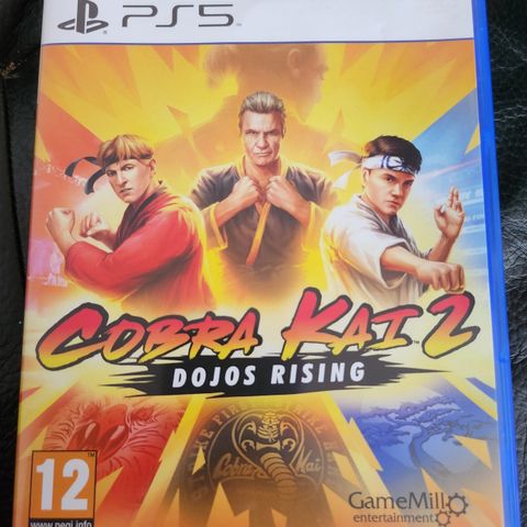 Playstation 5 Cobra Kai 2: Dojo's Rising