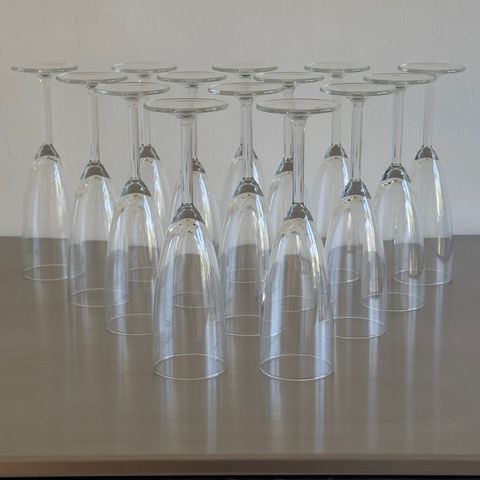 14 champagneglass