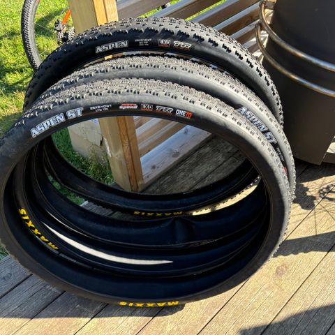 Maxxis Aspen 120tpi / Aspen ST 170tpi 29 x 2.4