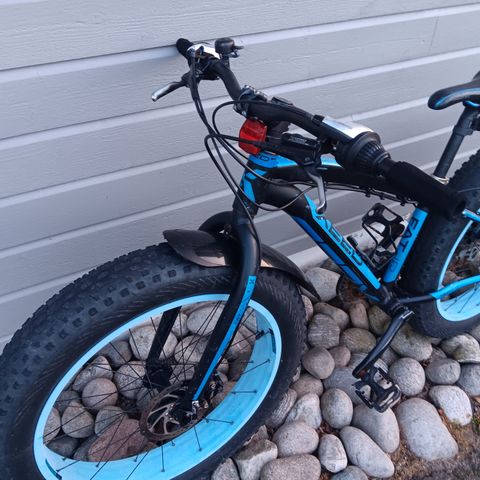 Fat bike