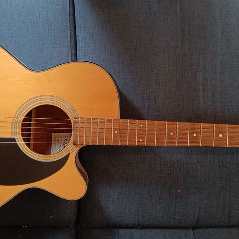 Takamine G-series model EG220C