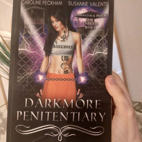 OOP RARE Darkmore Penitentiary Book 1