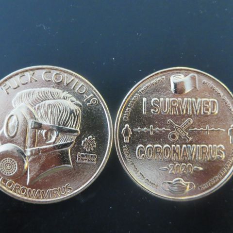 2020  I survived Koronavirus. Commemorative Gold plated Coin