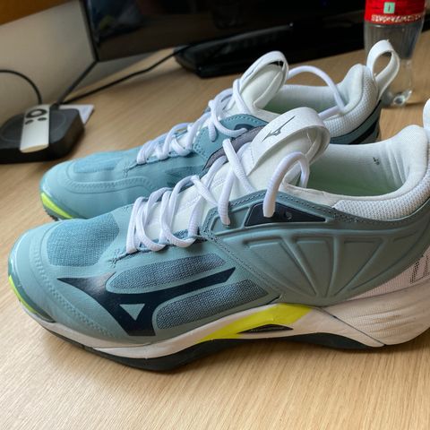 Mizuno Wave Momentum 2