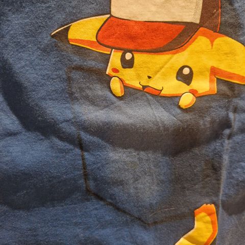 Teefury Pikachu | Pokemon