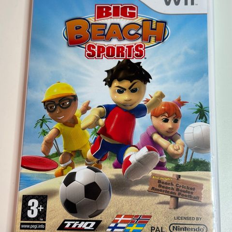 Big Beach Sports Wii