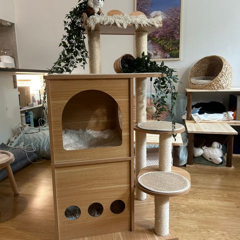 Kattetre 🐱 Wooden Cat tree 🐱