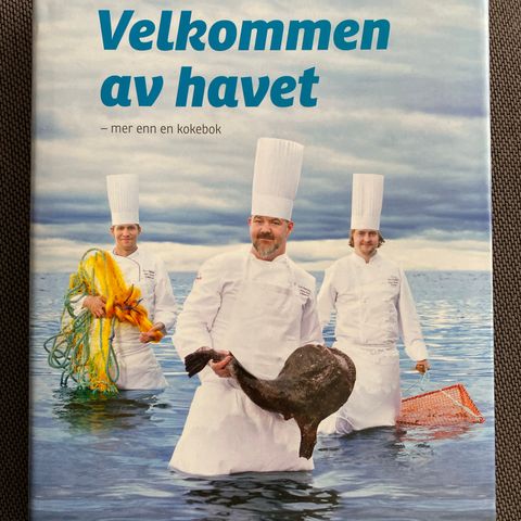 VELKOMMEN AV HAVET - mer enn en kokebok - Kari H. Bachke Andresen