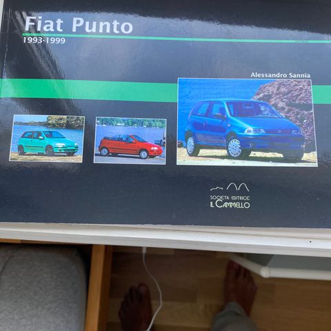 Bok om Fiat Punto  1993 -1999.