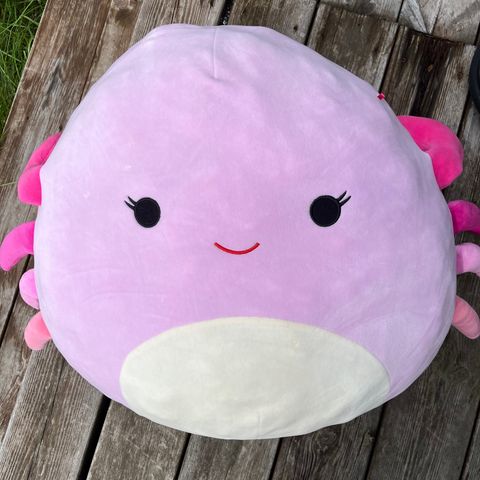 40 cm squishmallow