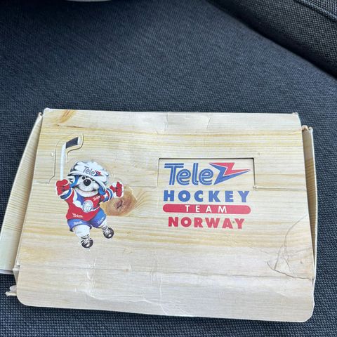 Tele hockey team Norway