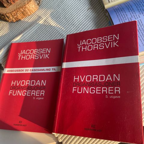 Hvordan organisasjoner fungerer