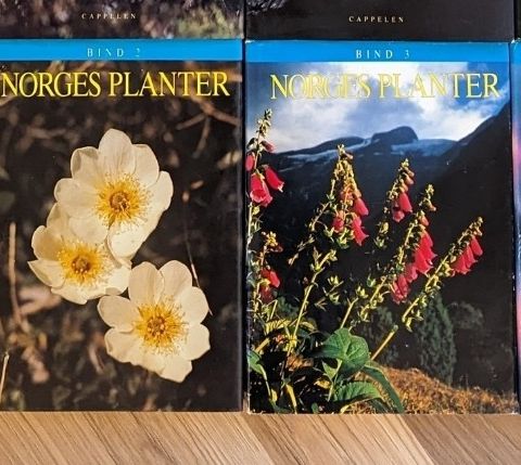 Norges planter