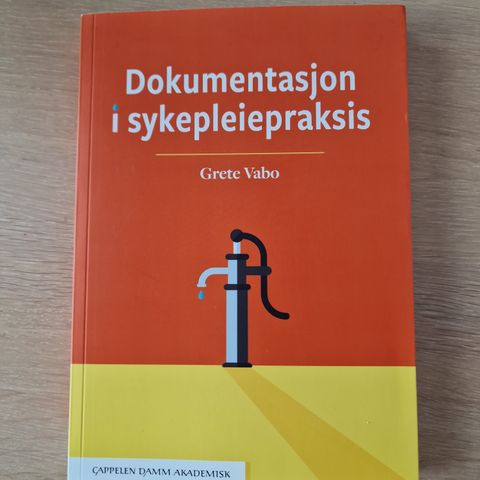 Dokumentasjon i sykepleiepraksis