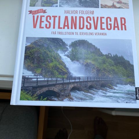 Flere Vestlandsvegar