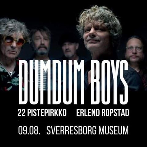 Bill til Dum Dum Boys konsert Trondheim 9.8. Inkl Shuttlebuss.