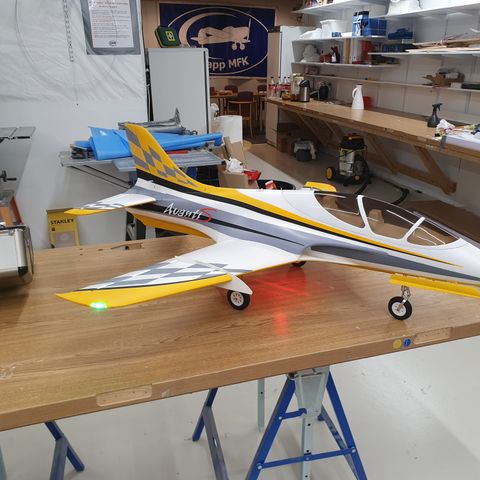 Freewing avanti