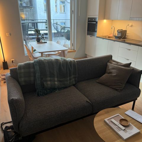 Ikea ÄPPLARRYD Sofa