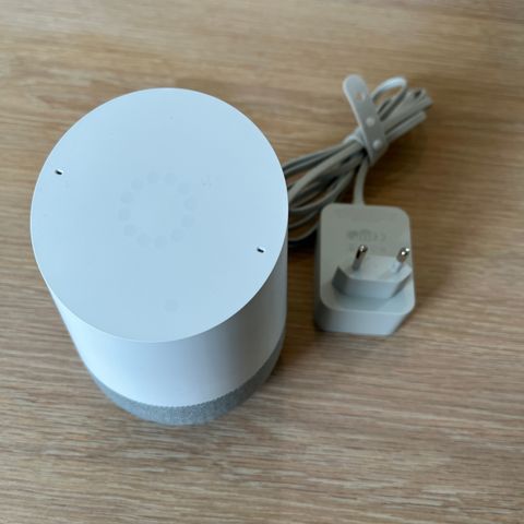 Google Home