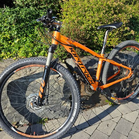 Hard Rocx Cambrium Race 27R 13" XS