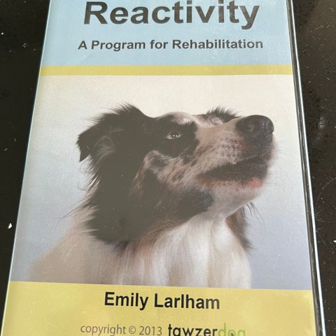 Reactivity - Emily Larlham