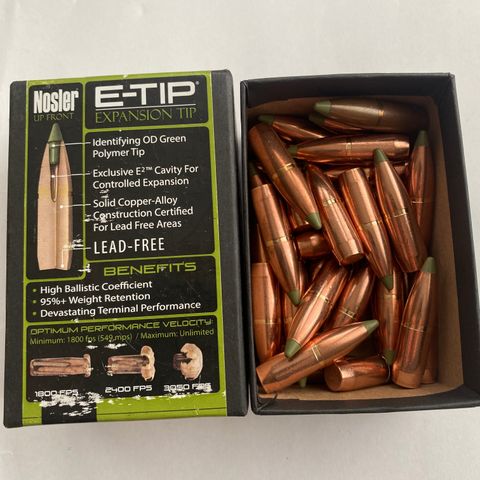 Nosler e tip 9,3