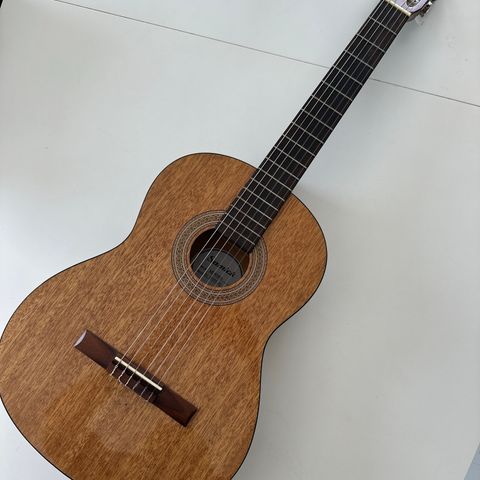 Fin gitar